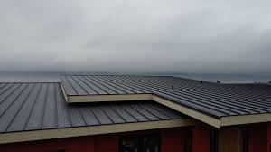 Best Steel Roofing  in Cramerton, NC